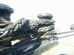 080508_Roald_Amundsen 026